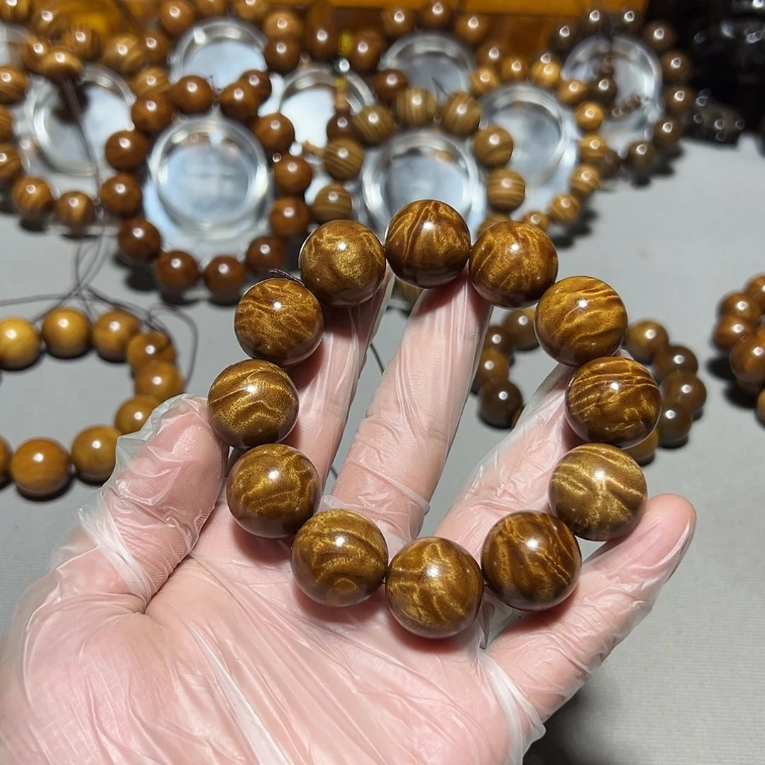 金丝楠金丝楠小叶桢楠2.0龙胆