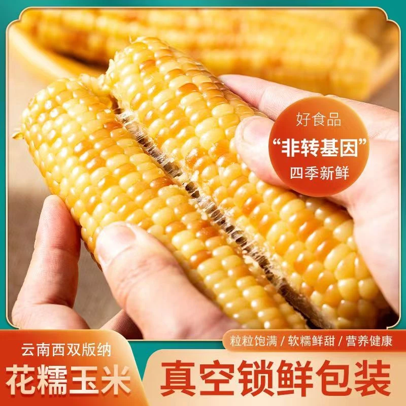 花糯玉米1斤云南优质低脂非转基因糯玉米箱发香糯新鲜营养粗粮