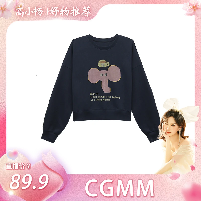 秋冬新款时尚大象印花通勤百搭卫衣DSOMB176