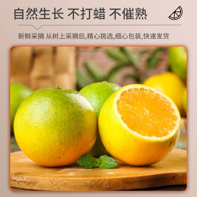 广西桂林高山夏橙新鲜5斤9斤现摘应季水果香甜天然酸甜细腻
