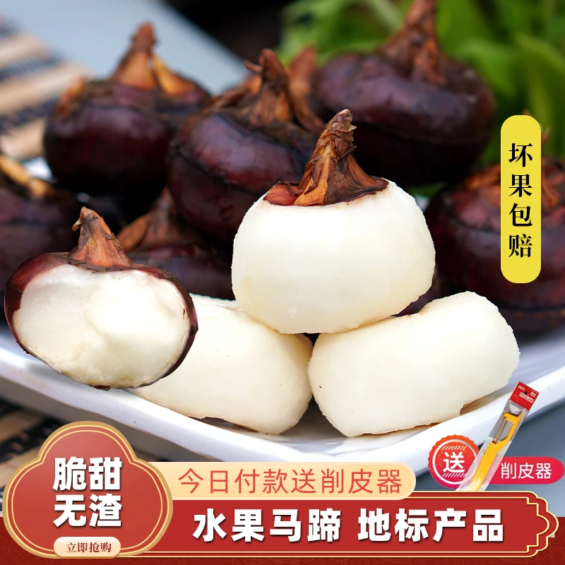 广西桂林现挖水果马蹄脆甜多汁清甜可口荸荠5斤包邮新鲜脆嫩削皮