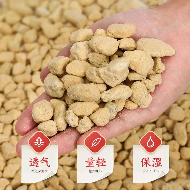 植金石，赤玉土配兰花植料，多肉，君子兰都可用的土