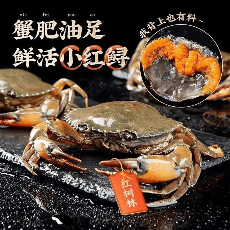 【包活】红膏蟹100-150g规格 有膏有肉鲜活（仅开放福建省）