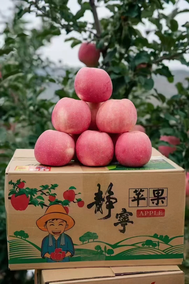 新当季水果现摘现发红富士苹果鲜静宁雪原苹果脆甜苹果冰糖心苹果