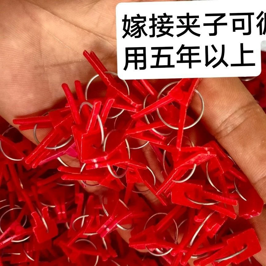 嫁接专用工具夹蔬菜瓜果花卉蟹爪兰平口圆口新料嫁接夹子耐用