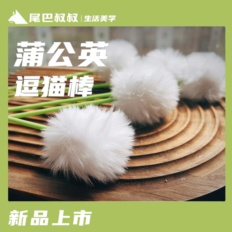 猫咪蒲公英逗猫棒白色可爱弹力玩耍高颜值