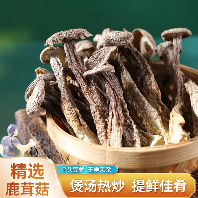 鹿茸菇鲜美鹿茸菌菇鹿茸干货甄选炒菜煲汤火锅菌菇250克