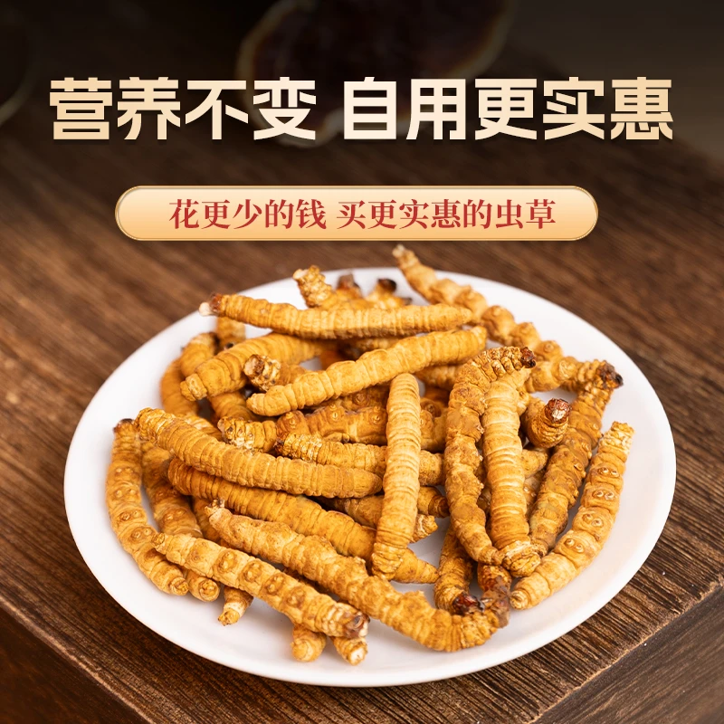 藏清源纯肉节2025新干大号断虫草10克装断冬虫夏草自用实惠