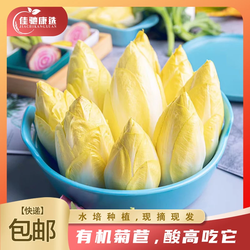 有机菊苣｜有机金玉兰菜2斤3斤5斤【京东/顺丰包邮】水培种植