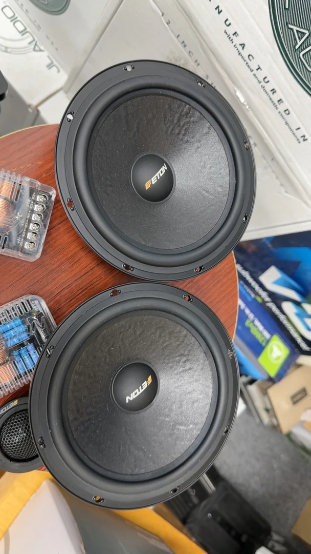 德国伊顿pro175，6.5寸两分频套装喇叭