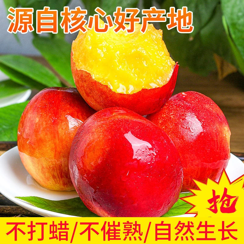 【热卖】黄心油桃应季大桃子新鲜水果当季孕妇黄肉蜜脆桃礼盒装大果