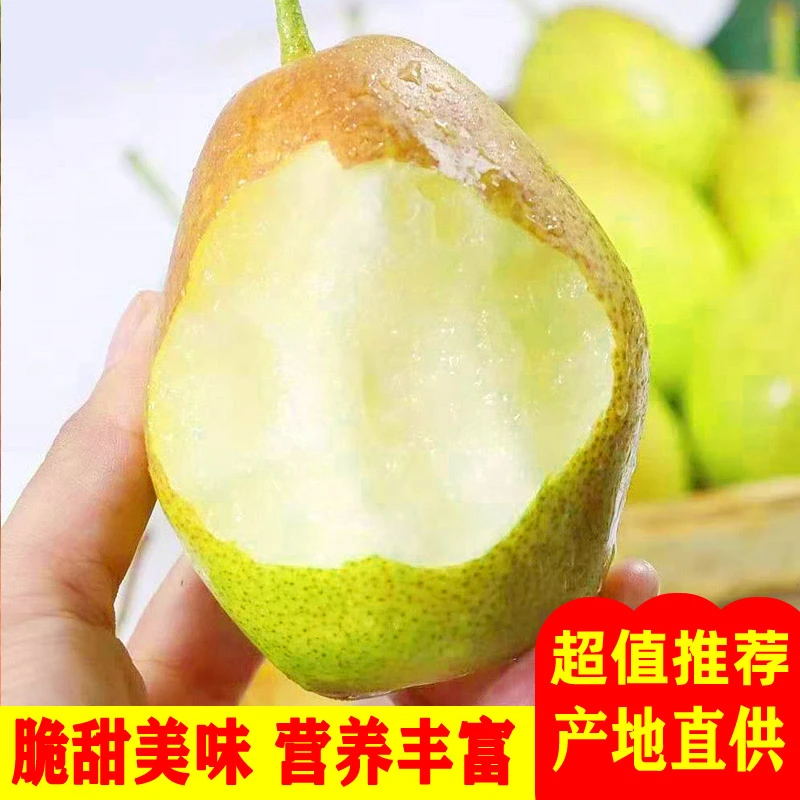 【脆甜多汁】正宗红香酥梨源自山西香梨新鲜水果薄皮梨子整箱批发