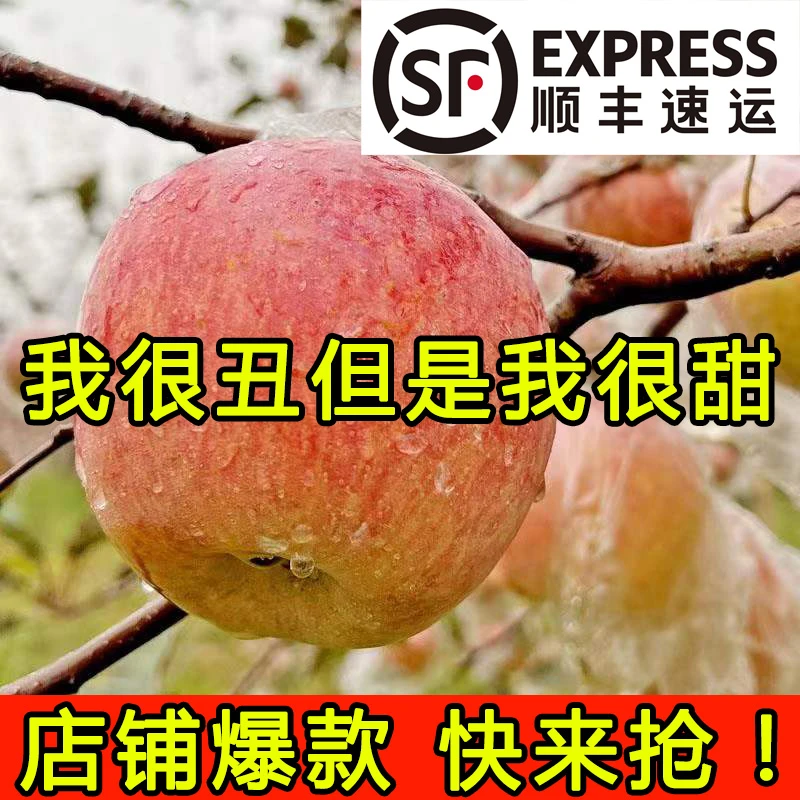 【顺丰包邮】产地直供红富士苹果冰糖心丑新鲜水果原生态脆甜苹好吃