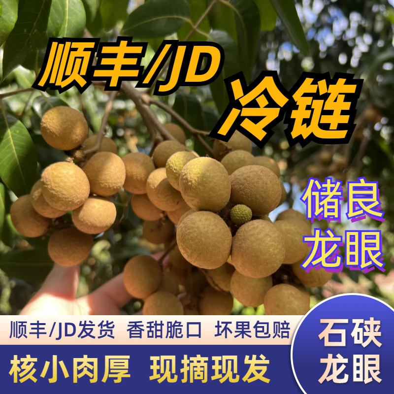 【36.8元抢一箱】5斤广东储良石硖龙眼新鲜水果脆多汁顺丰JD冷链3斤