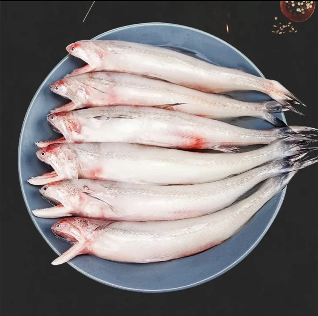 新鲜海捕豆腐鱼，顺丰冷链包邮到家8斤