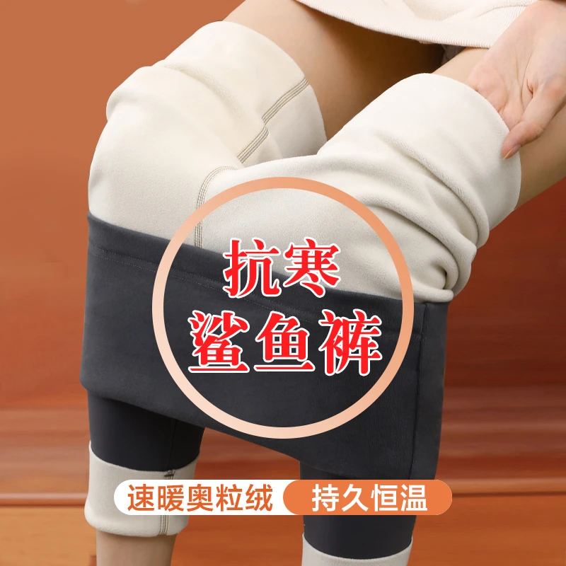 冬季孕妇鲨鱼裤加绒加厚秋冬款孕妇装打底保暖裤怀孕外穿瑜伽裤子