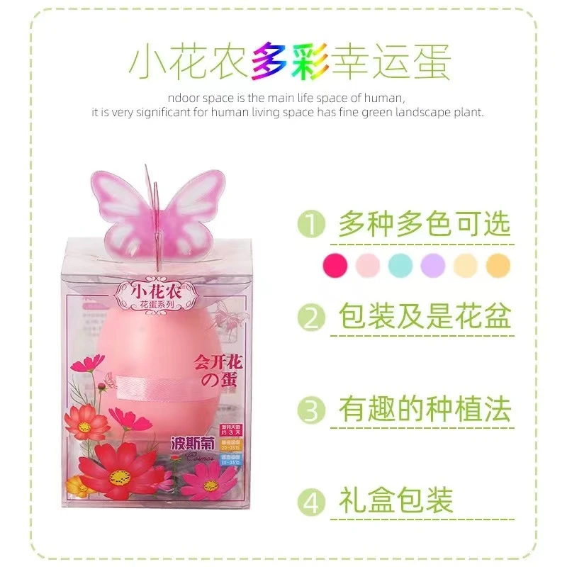 买一送一小花农会开花的蛋（小）迷你植物盆栽花卉种子儿童创意DIY