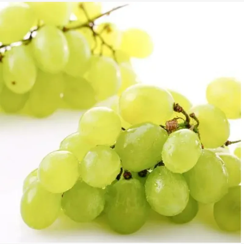维多利葡萄1斤±20g  <8.28> 内蒙古自治区