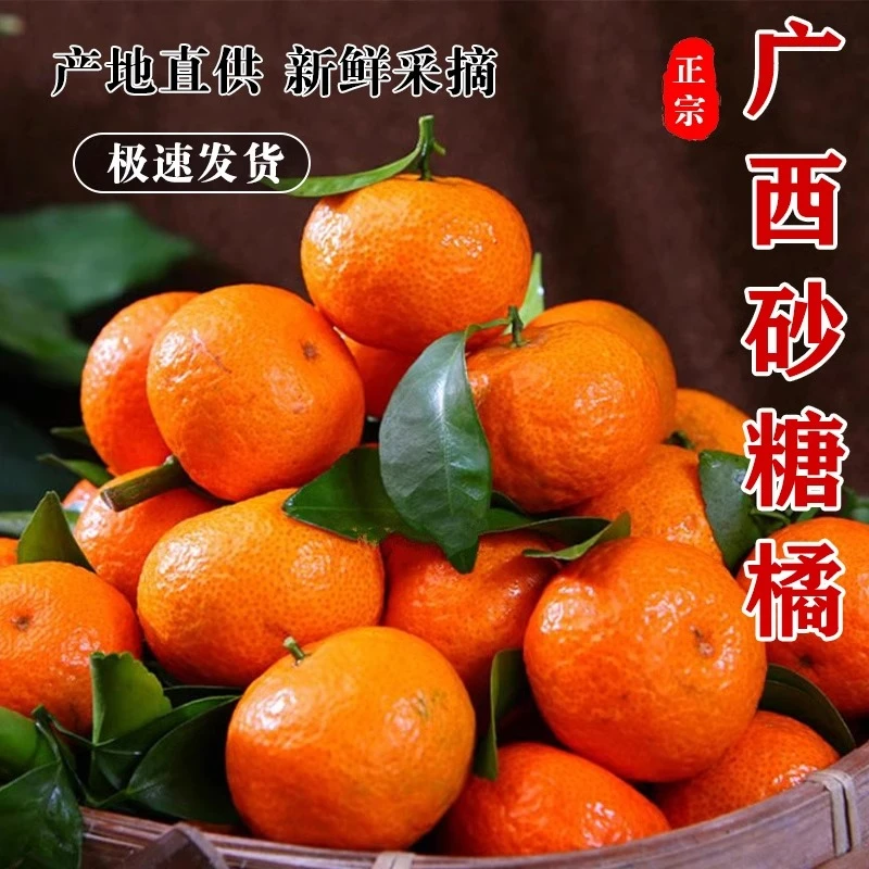 （京东快递包邮发货）正宗广西砂糖橘爆汁橘子纯甜新鲜采摘下秒发