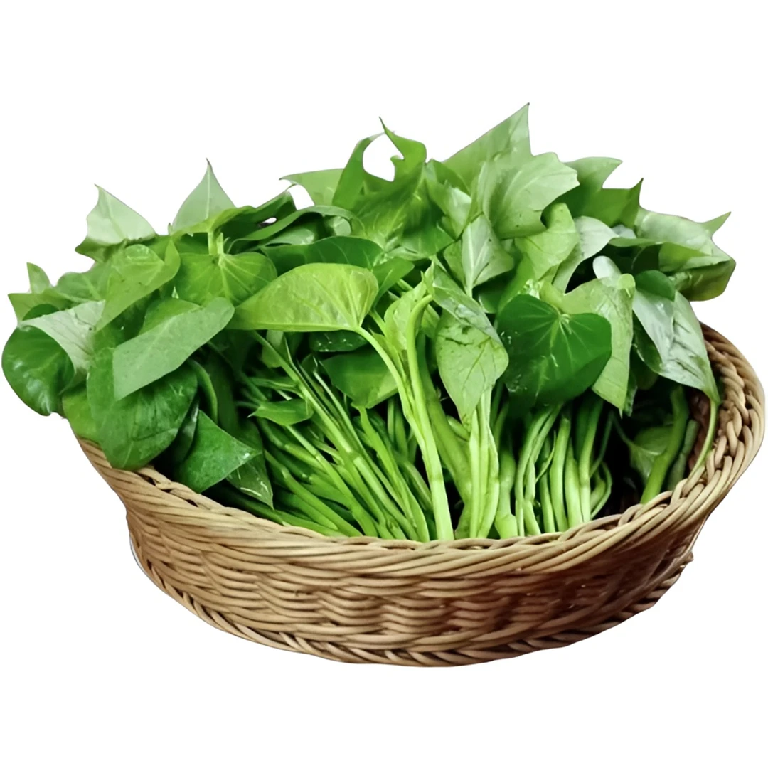 新鲜红薯叶 1把 200g±20g/份