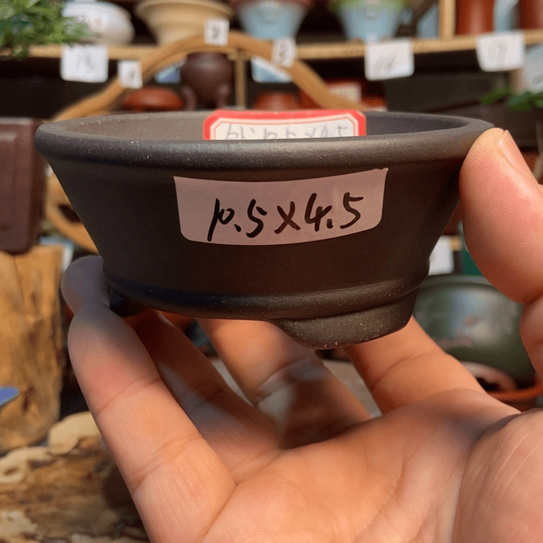 紫砂花盆9999995888888558888888