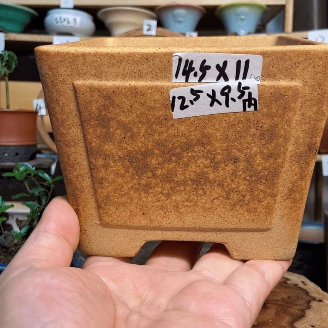 紫砂花盆88885588985588