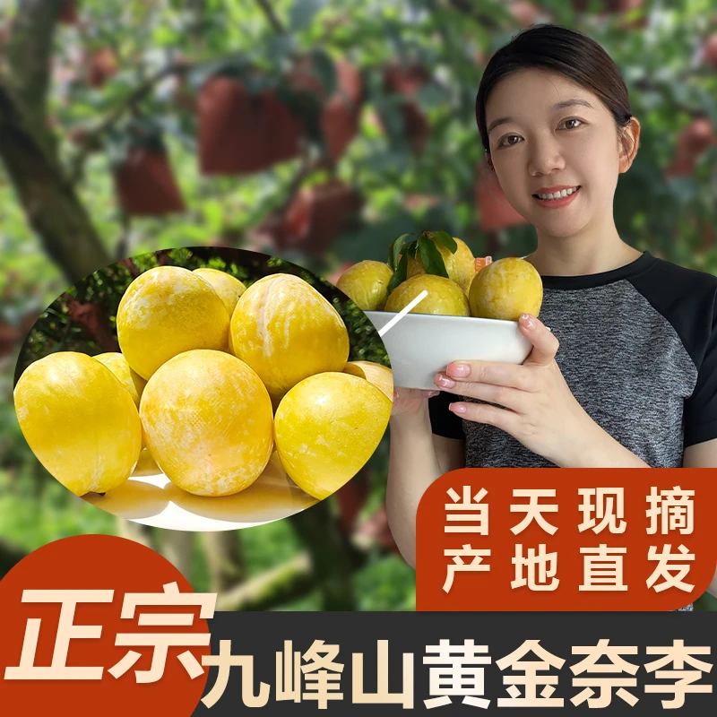 【10斤装】广东黄金奈李新鲜水果脱骨三华李蜂糖土奈李孕妇应季包邮