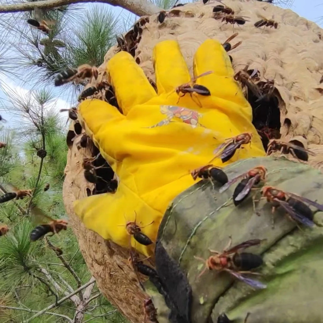 2025新款胡蜂手套胡蜂养殖场防马蜂服专用防蛰服通用可改装防刺穿