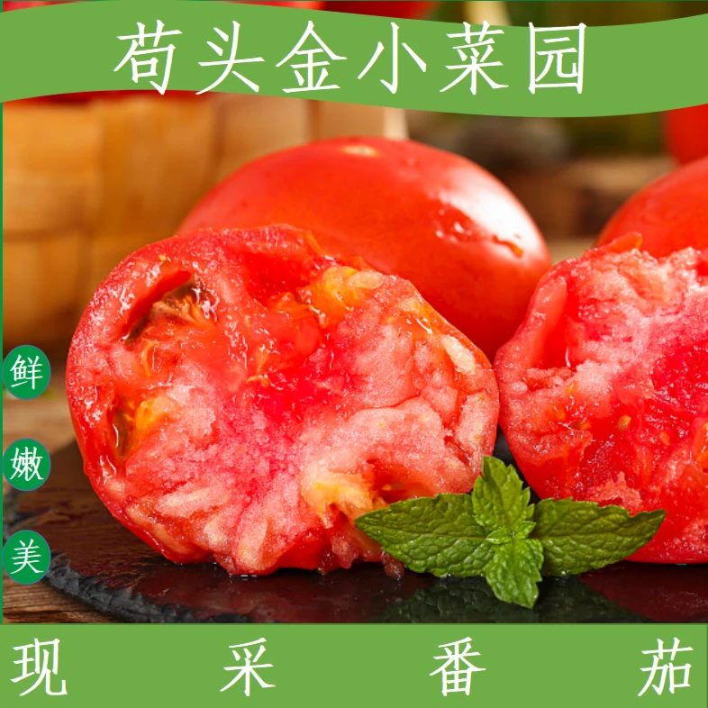 农家【土番茄】沙瓤番茄西红柿自然成熟大中小果一起发3/5斤