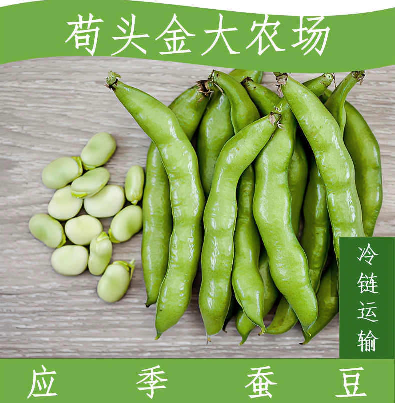 四川带壳嫩【胡豆蚕豆】罗汉豆兰花豆当季现采现发3斤/5斤