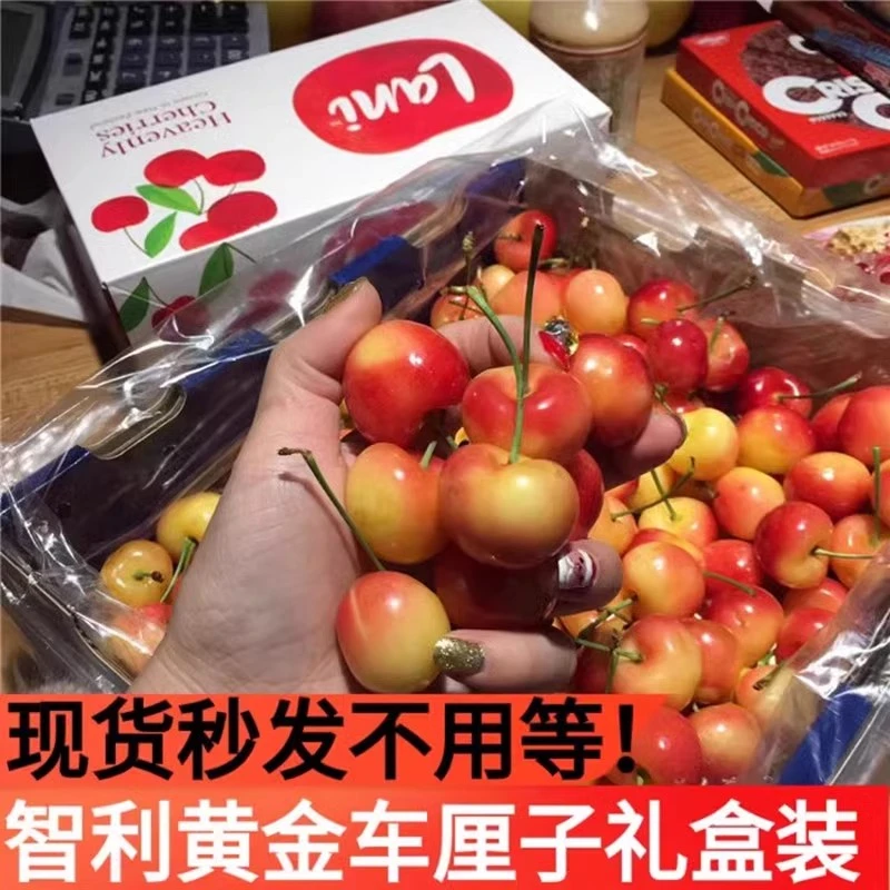 【智利金车】RAINIER雷尼尔J-4J黄金车厘子1-4.4斤装顺丰包邮空运