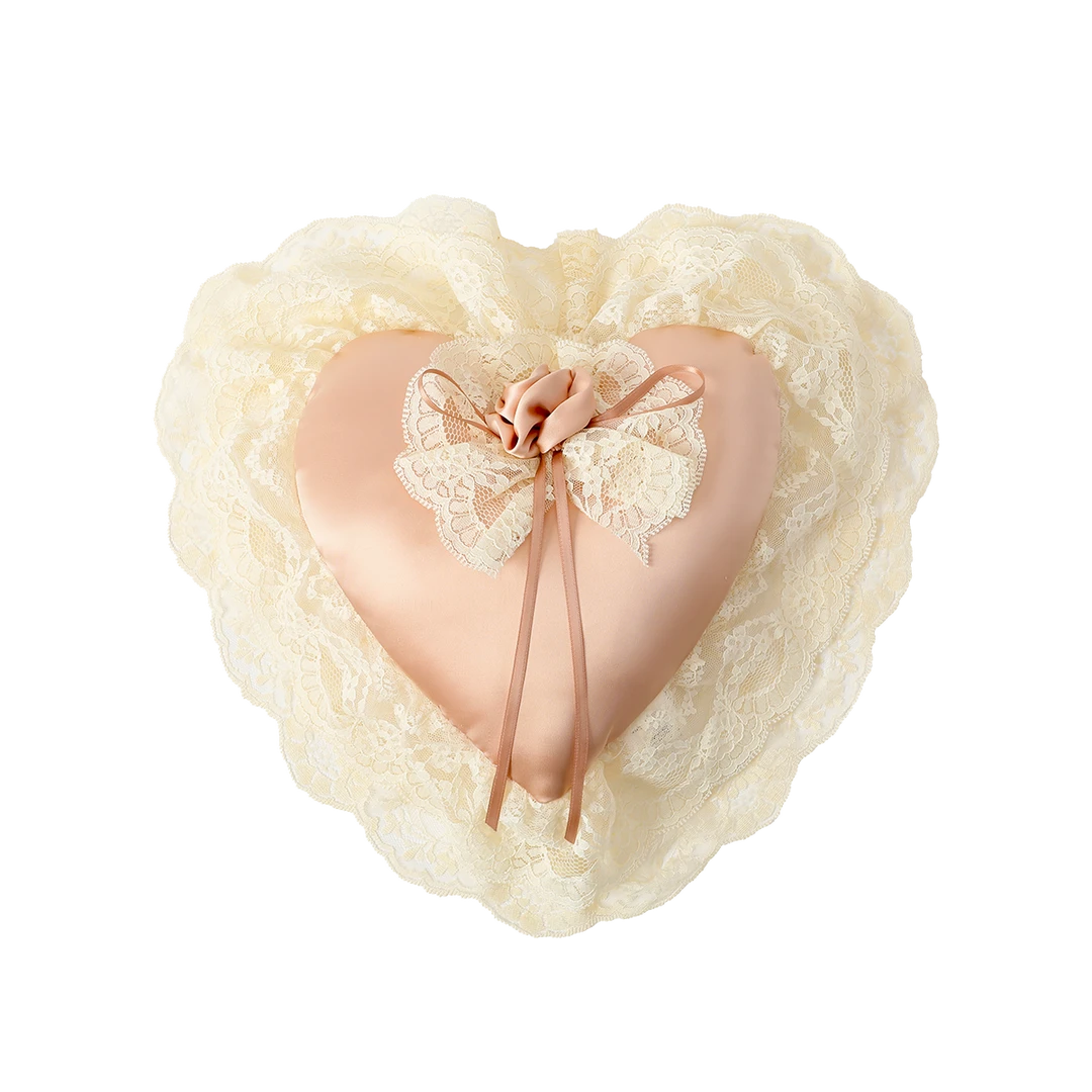 蕾诗莓品牌定制抱枕