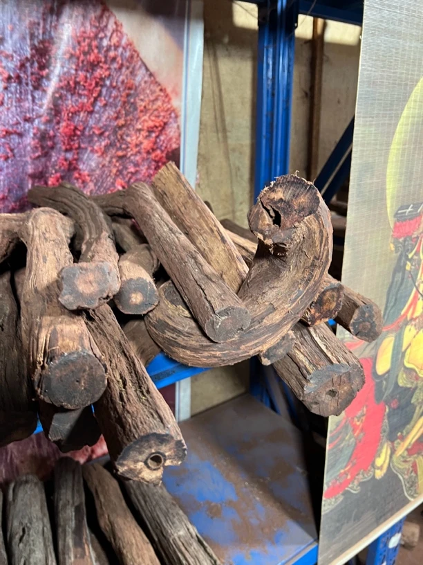 缅甸小叶降真香根雕