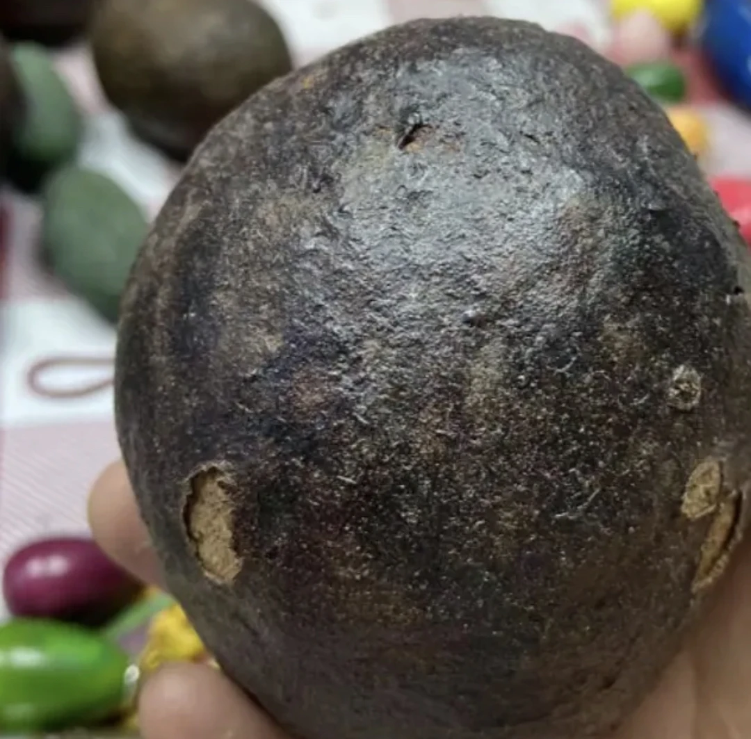 【稀有大果】风化菩提果老果大果把件