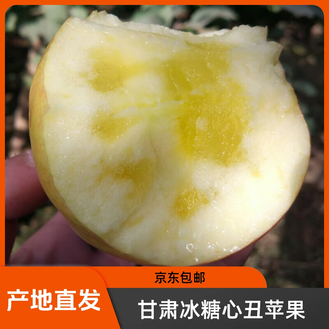 甘肃冰糖心丑苹果红富士新鲜水果高原优选不打蜡精选脆甜阳光果