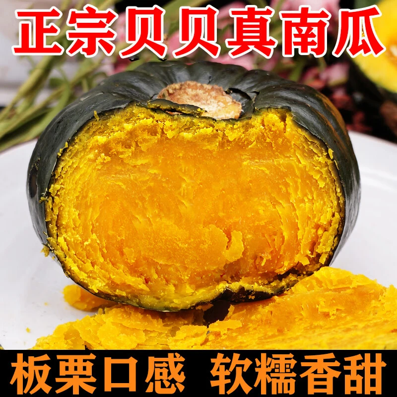 【贝贝南瓜】正宗贝贝南瓜板栗香小南瓜粉糯老瓜宝宝辅食香甜软糯