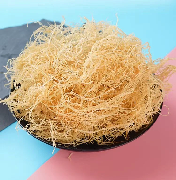 山东特产龙须菜 鹿角菜 海石花凉拌天然食材一斤装脆嫩爽口