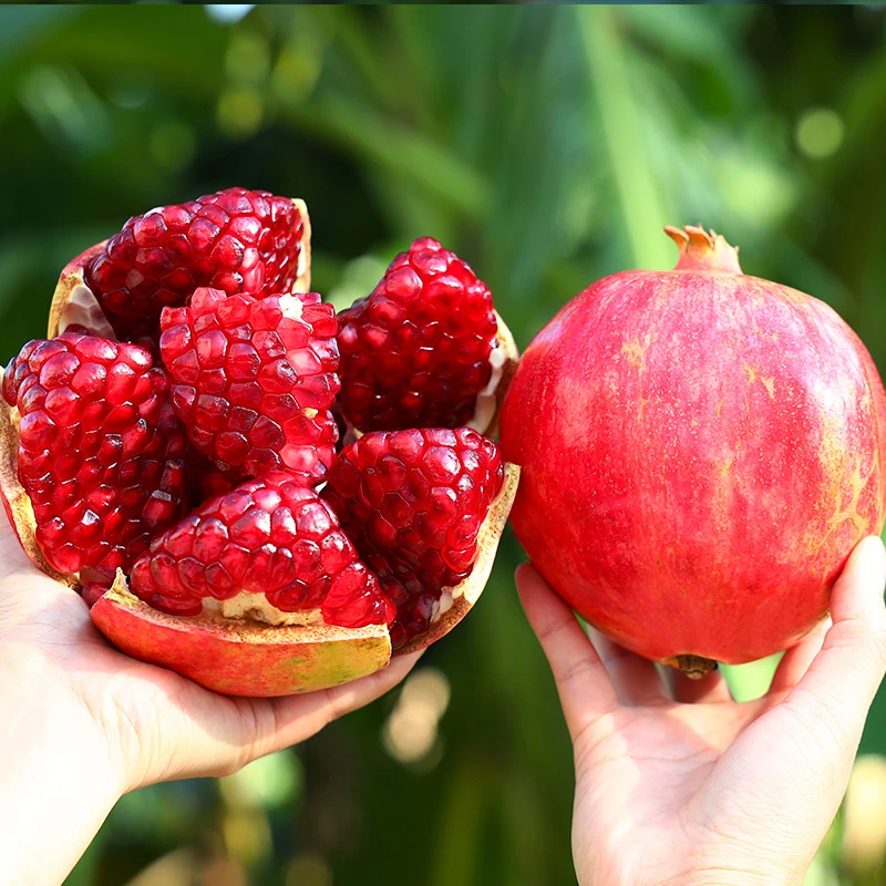四川会理石榴突尼斯软籽石榴不吐籽红石榴新鲜应季水果