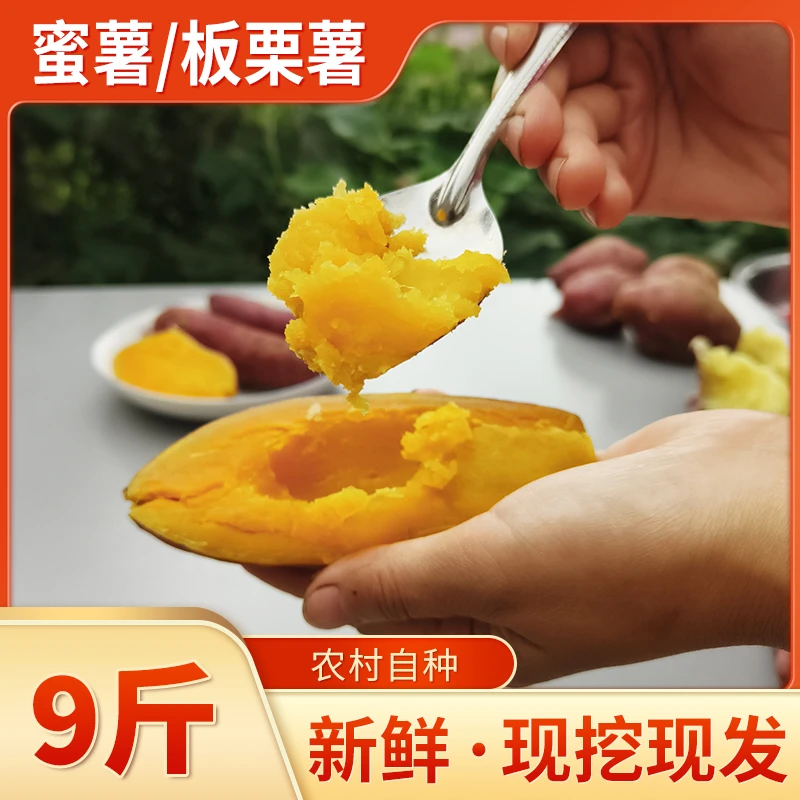 9斤 新鲜红薯农村番薯黄红心蜜薯现挖现发白心板栗薯新货红苕地瓜