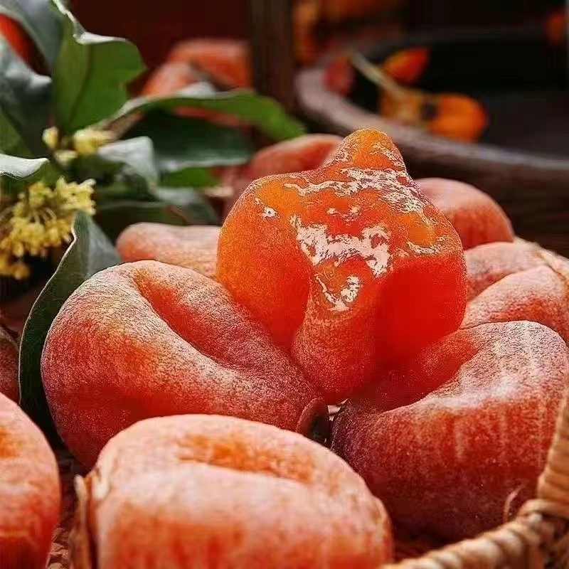 独立小包装圆饼吊饼降霜柿饼软糯香甜广西特产糖霜柿子饼整箱晾晒