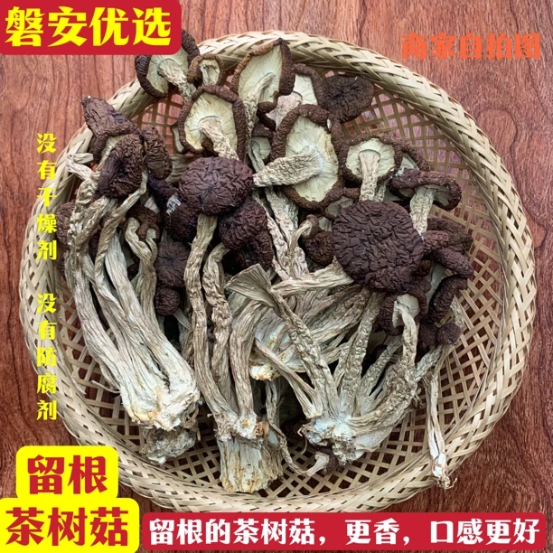 留根茶树菇,磐安优选(香味浓郁,不开伞)无干燥剂,无防腐剂