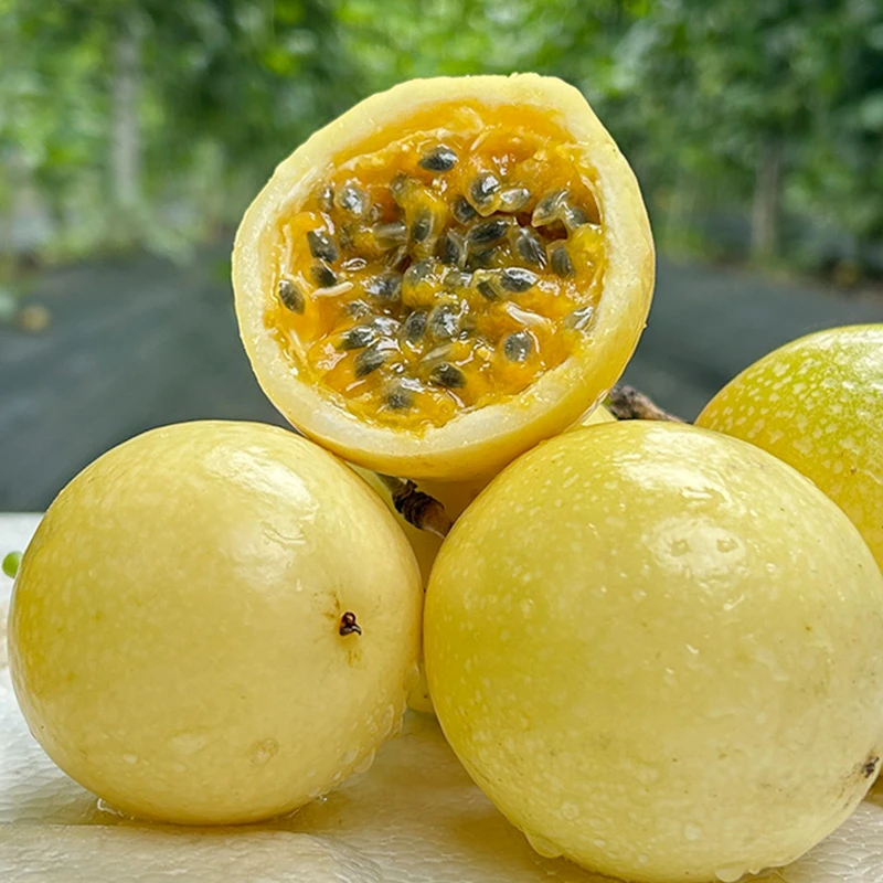 百香果黄金百香果钦蜜9号 2斤3斤装新鲜水果坏果包赔