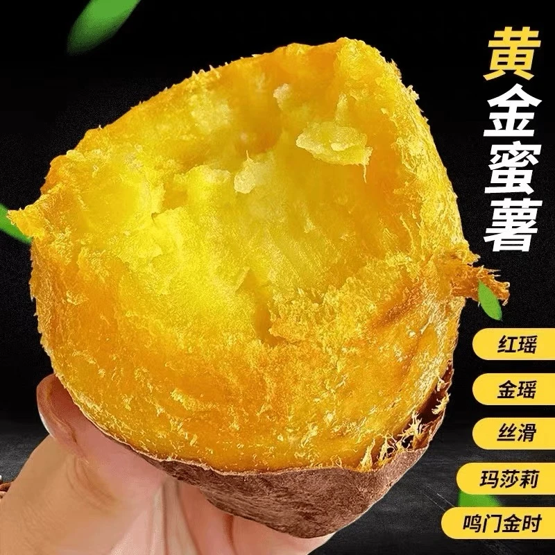 【金瑶蜜薯福利款】高端榴莲蜜薯金焰薯名门金时地瓜黄金薯可蒸可烤