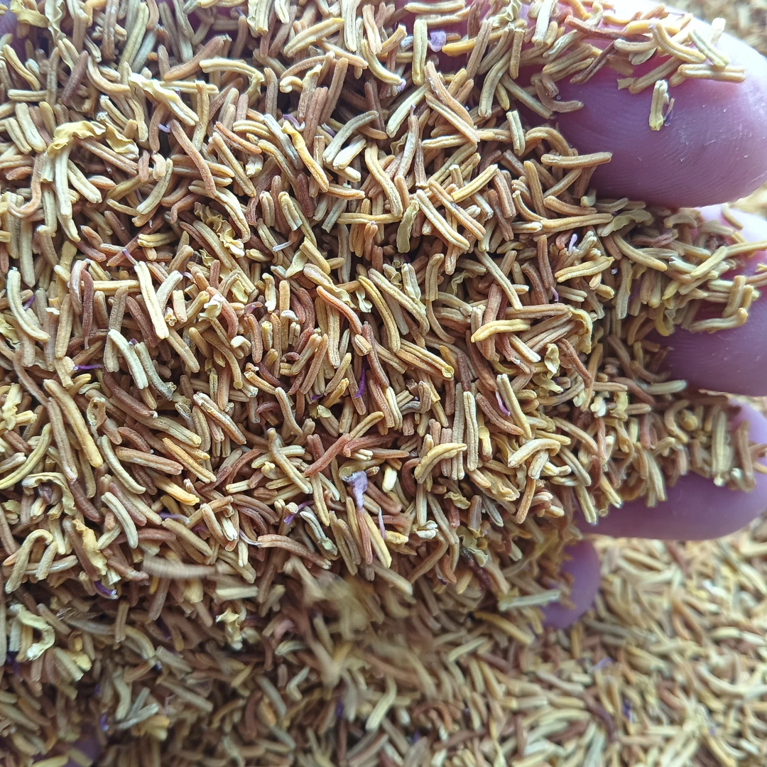 佤乡山货推荐【黄金蕊】云南山货