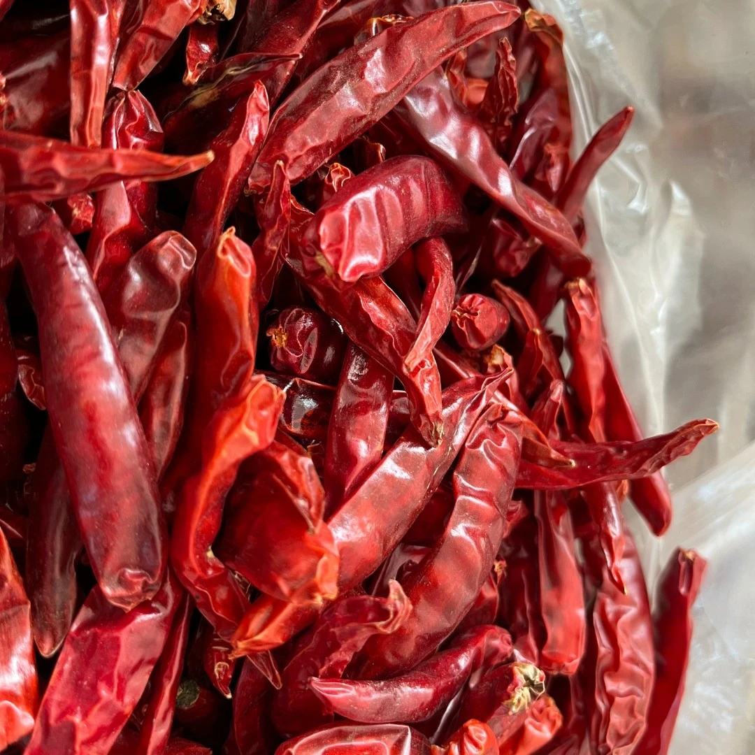 佤乡山货推荐【辣椒】山货特产不辣