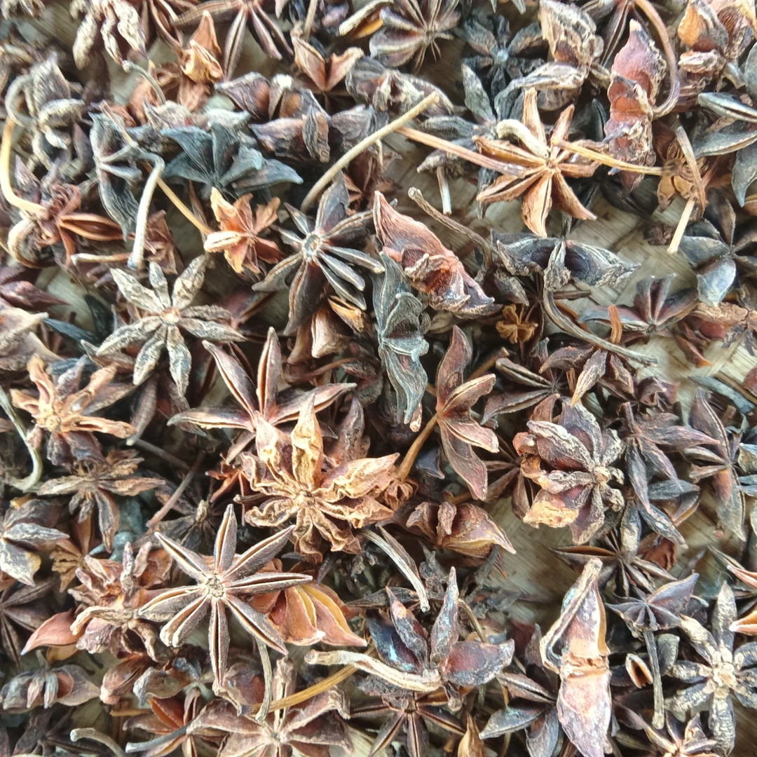 佤乡山货推荐【八角】山货特产八角