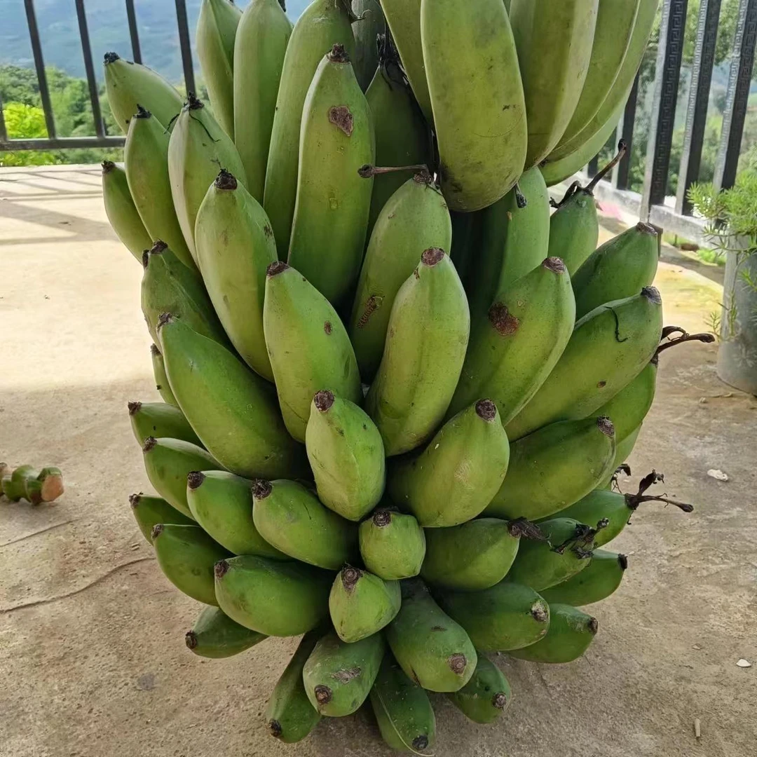 佤乡好货推荐{芭蕉}好货推荐
