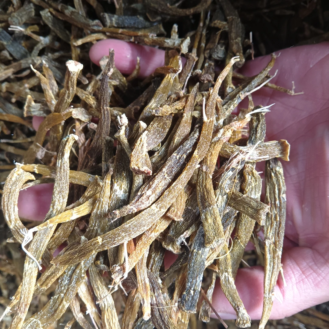 佤乡山货推荐【珍虫石斛大芽尖】山货特产2