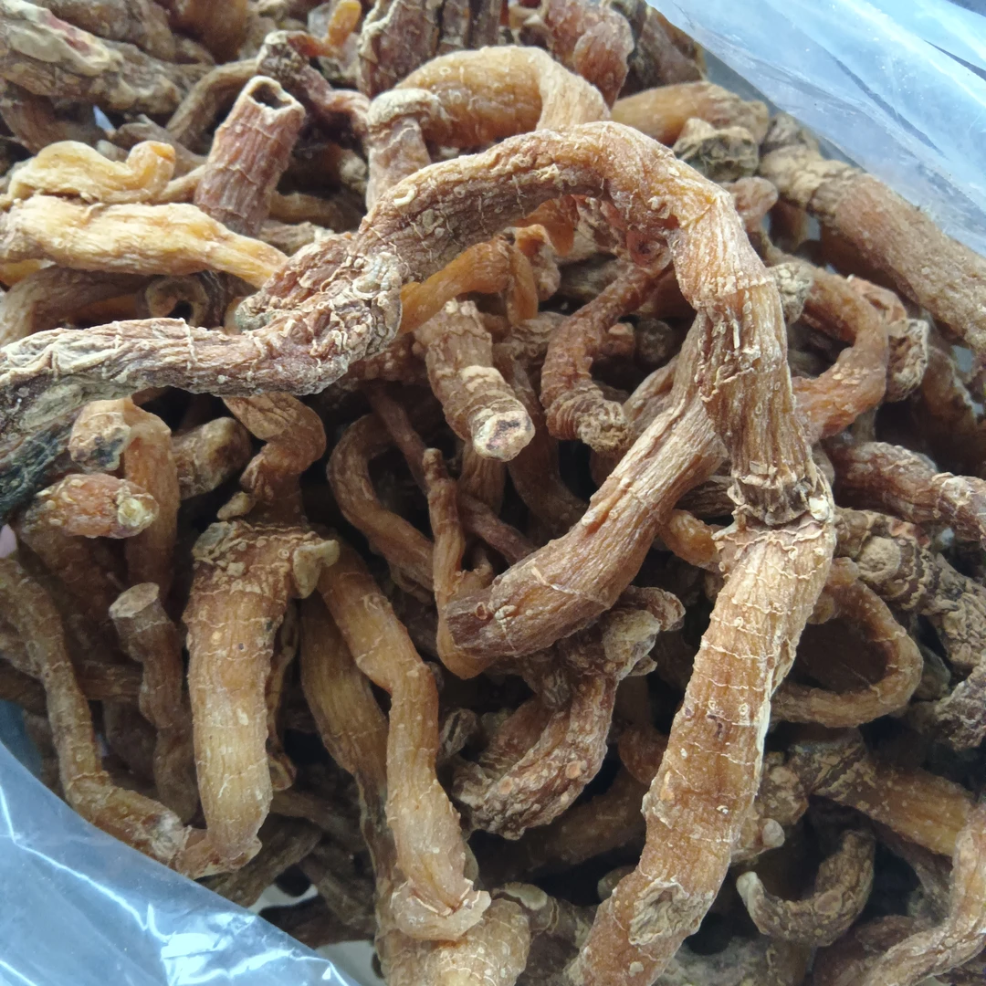 佤乡山货推荐【玉竹】山货特产