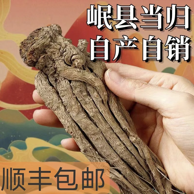 【西北小江专属】岷县无硫熏全当归产地直发（顺丰包邮）